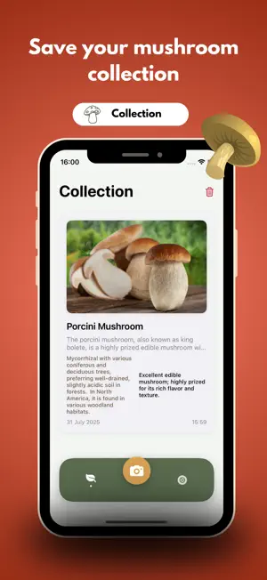 picture mushroom ıdentifier screenshot 4