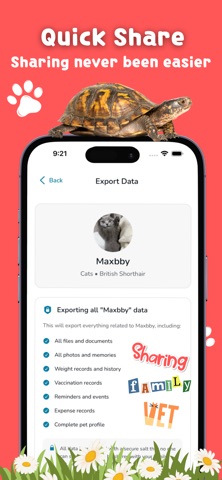 Paw Mind Screenshot 6
