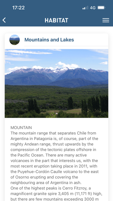 Birds of Patagonia Screenshot