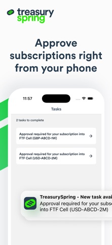 TreasurySpring screenshot