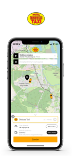 Dobosz Taxi Police screenshot 2