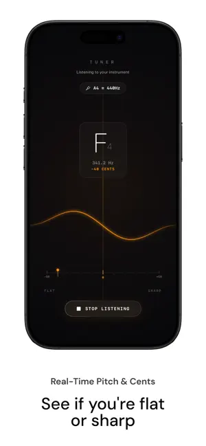 Chromatic Tuner - BA2 screenshot 3