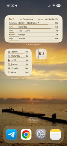 Karuna Jyotish Screenshot 5 of 6