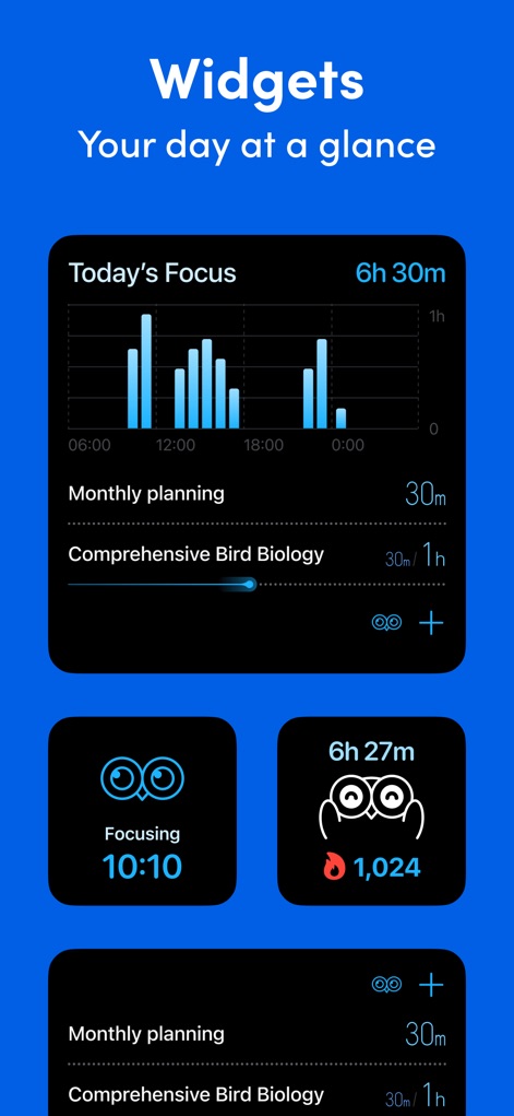 Bluebird Focus Timer - Productivity App | MWM