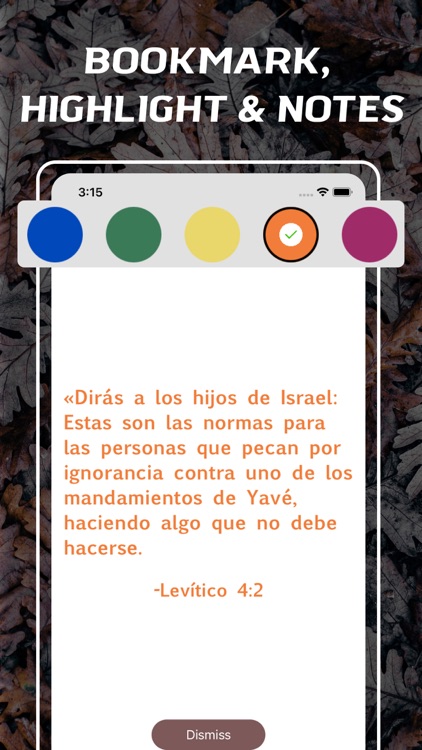 Bible Latinoamericana