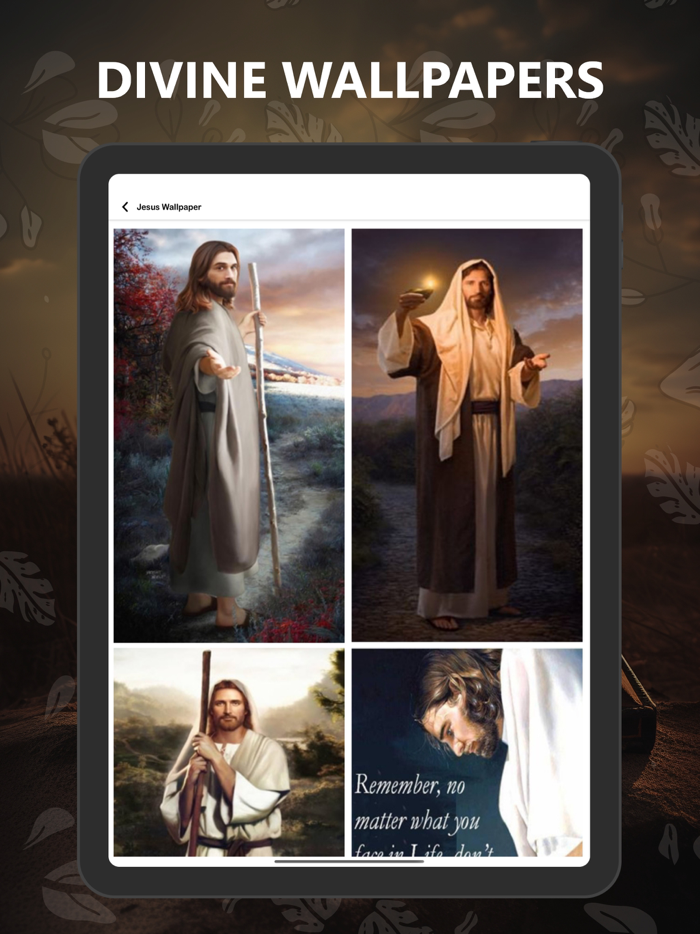 New International Version Pro.