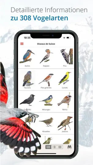 Vogelführer Birdlife Schweiz iPhone-skjermbilde 5