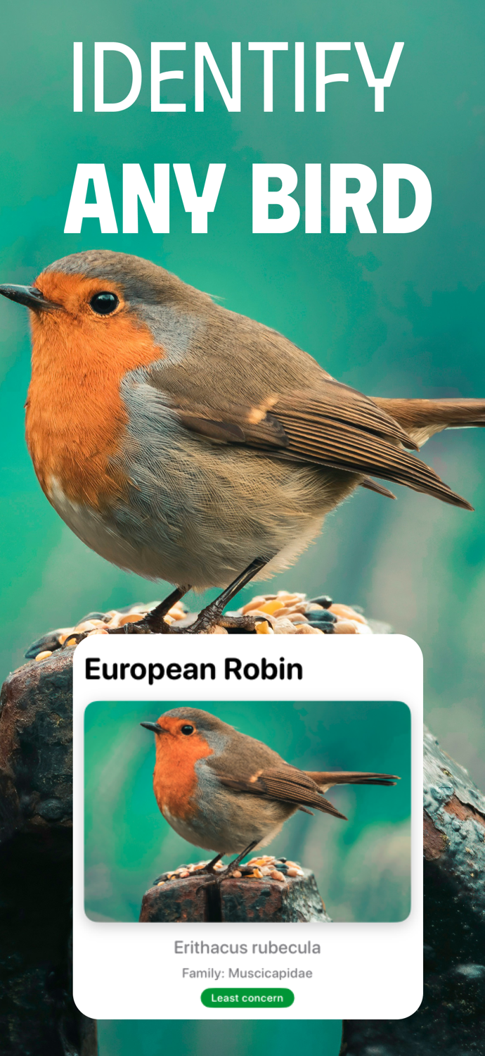 Bird Identifier BirdScout