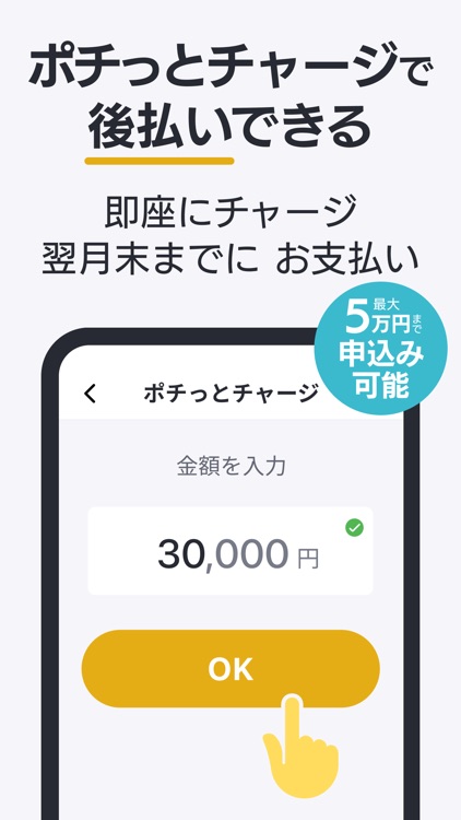 バンドルカード:Visaチャージ式カード、Visaカード
