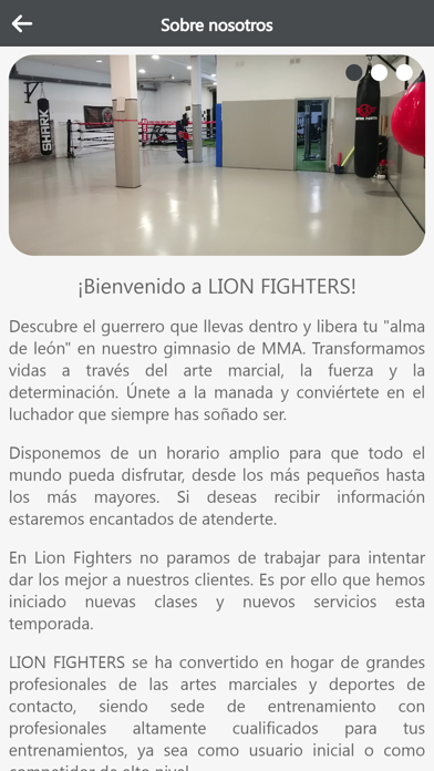 Lion Fighters Screenshot
