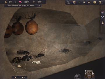 Ant Sim Tycoon iPad screenshot