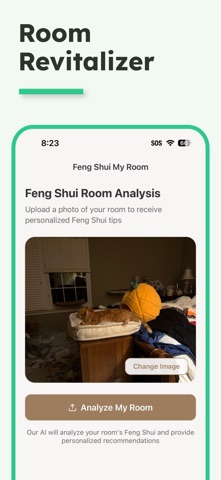 Feng Shui Expert screenshot