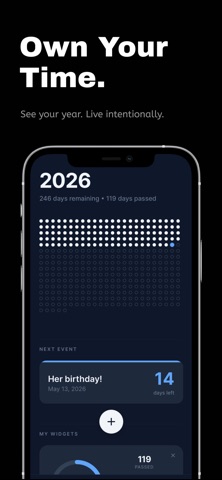Own Your Time: Year Countdown Screenshot 1 of 6