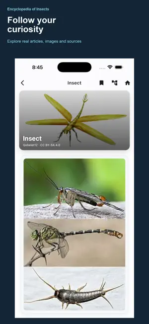 Insect Encyclopedia screenshot 1