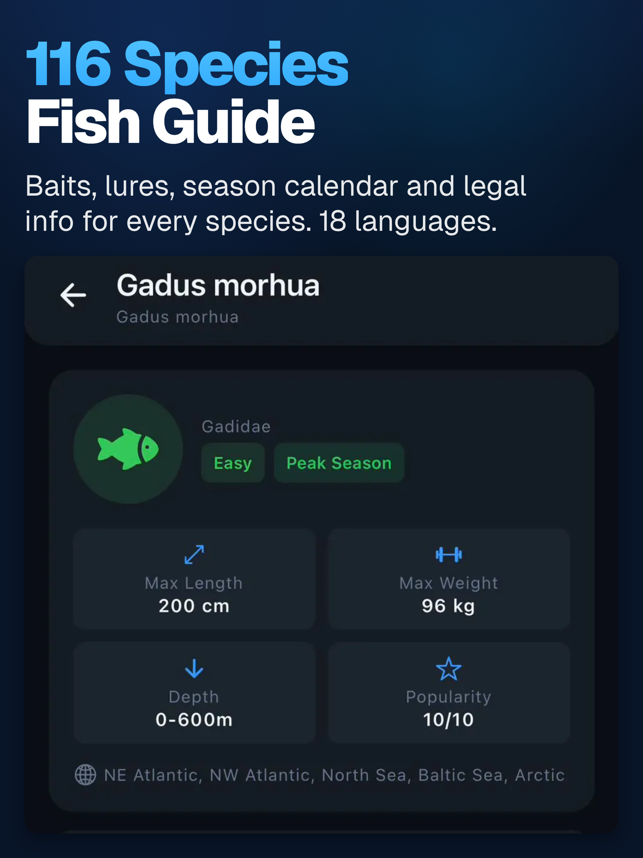 Fish Cast