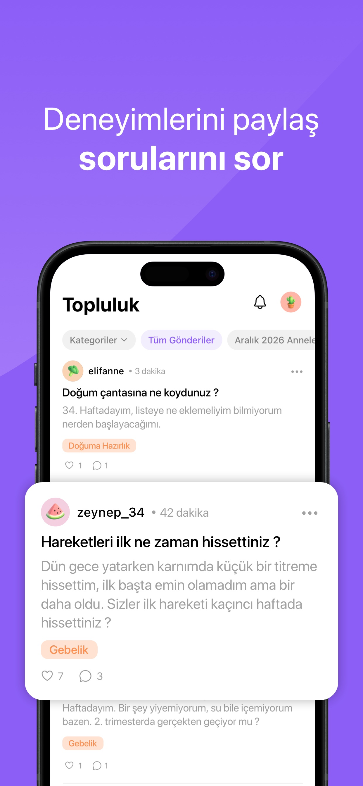 MomMentor - Hamilelik Takibi