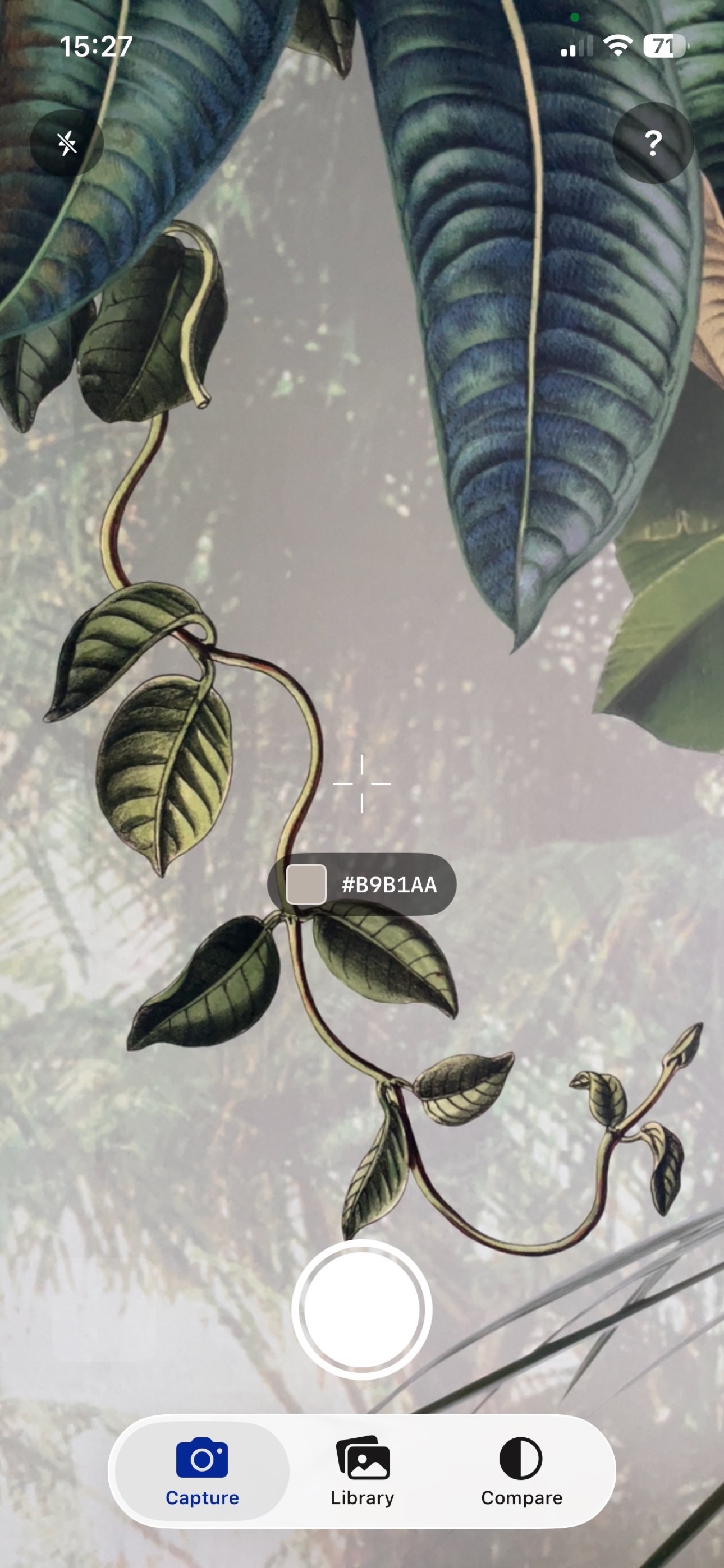 Screenshot 2 of Is it the same color