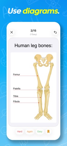 Crammer: Flashcard Exam Review iPhone screenshot