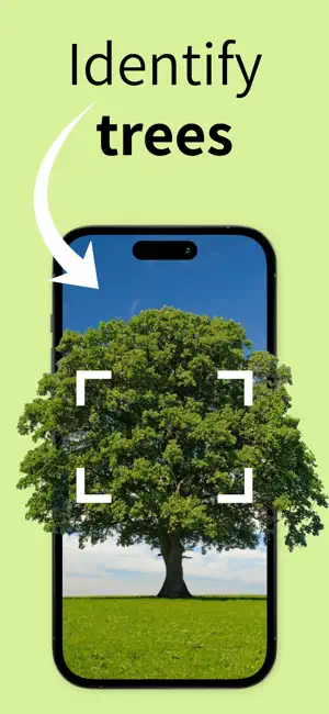 Tree Identifier: Wood & Leaf ‎ screenshot 1