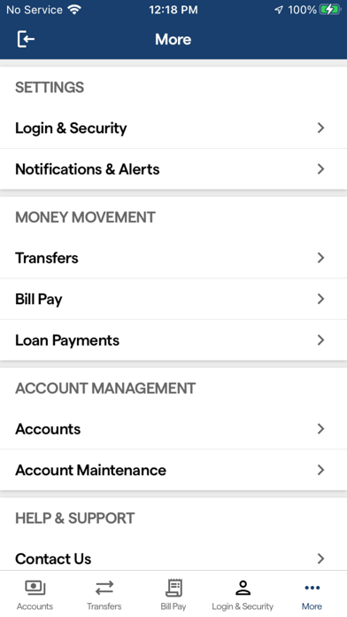Llano Nat'l/Hill Country Bank Screenshot