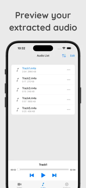 Easy Video Audio Extractor screenshot 3