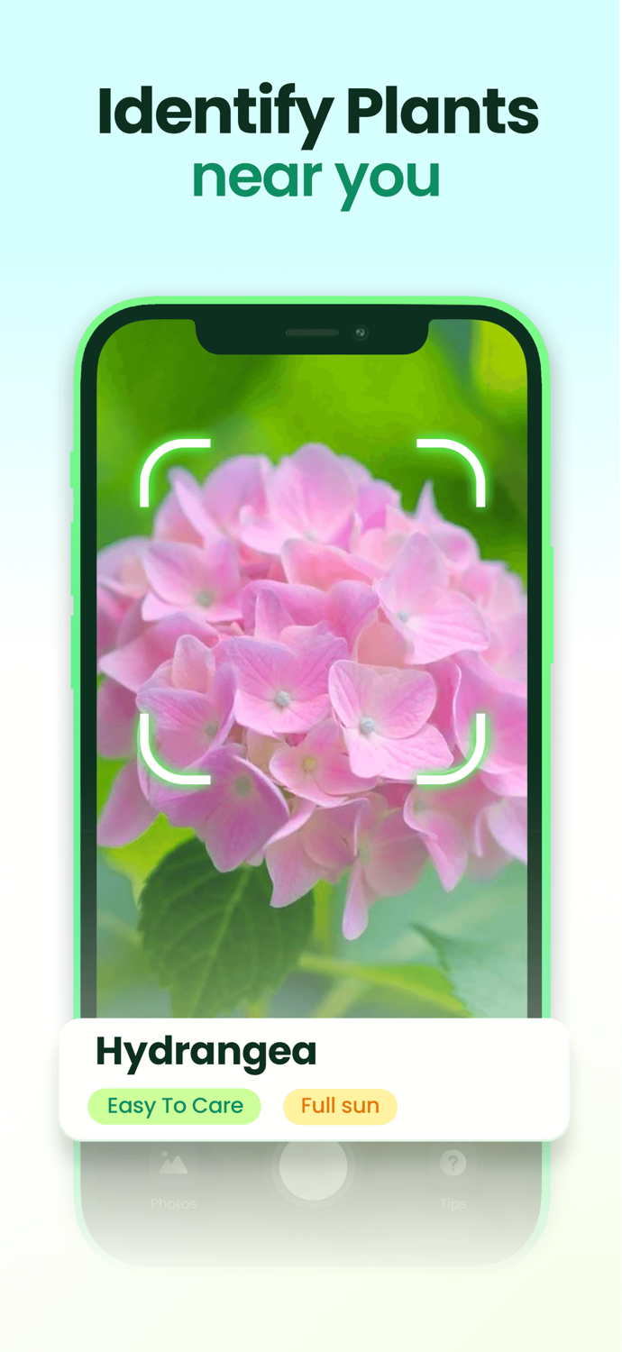 Plant Easy Plants  Garden