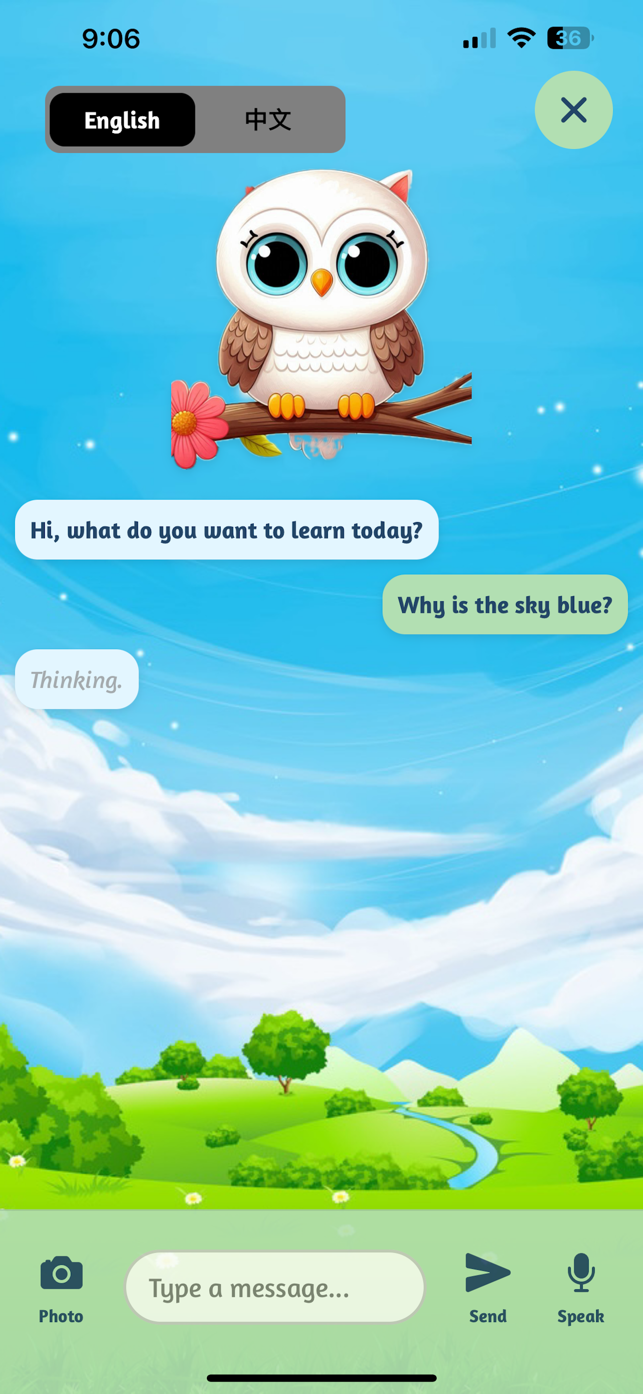 WhyWise