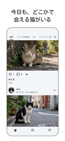 のらねこ iPhone screenshot