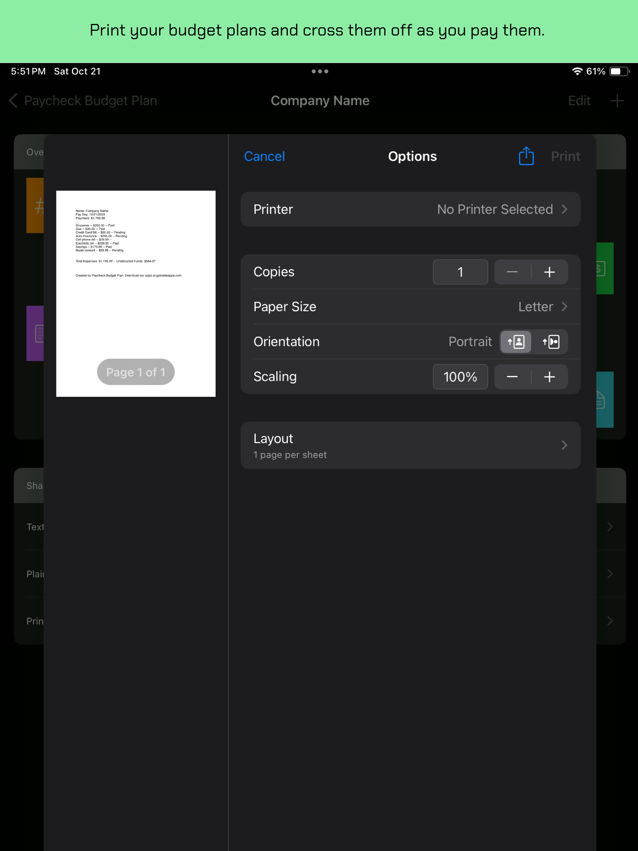 Paycheck Budget Plan screenshot 10