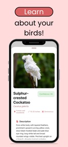 Bird Identification App screenshot