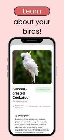 Bird Identifier: Scanner App screenshot