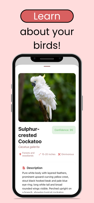 Bird Identifier: Scanner App Screenshot 3 of 4