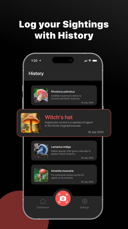 Mushroom Identifier: ShroomID screenshot-3