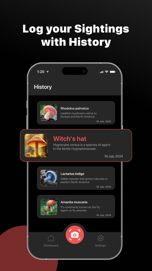 #4. Mushroom Identifier: ShroomID (iOS) 作者: BoltQ Media