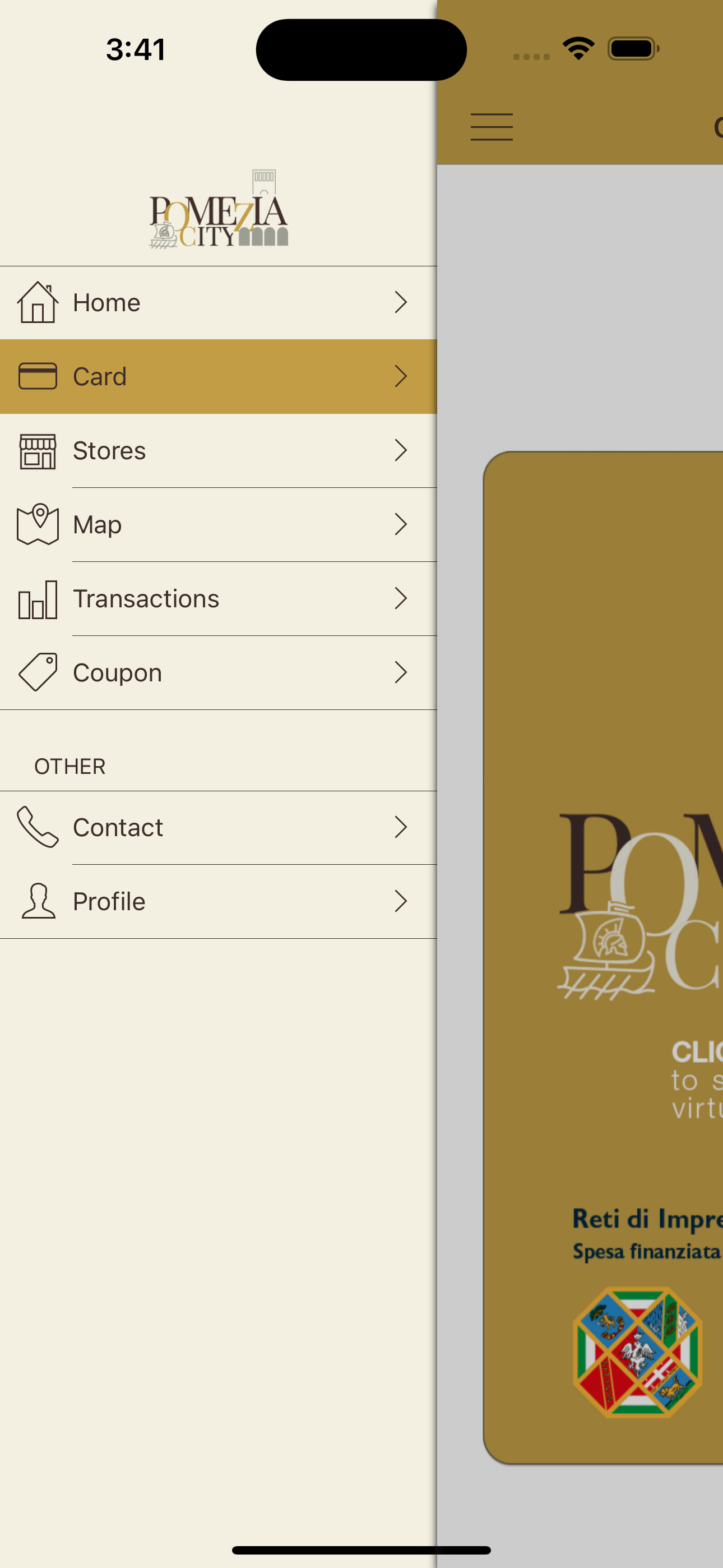 POMEZIA CITY screenshot 5