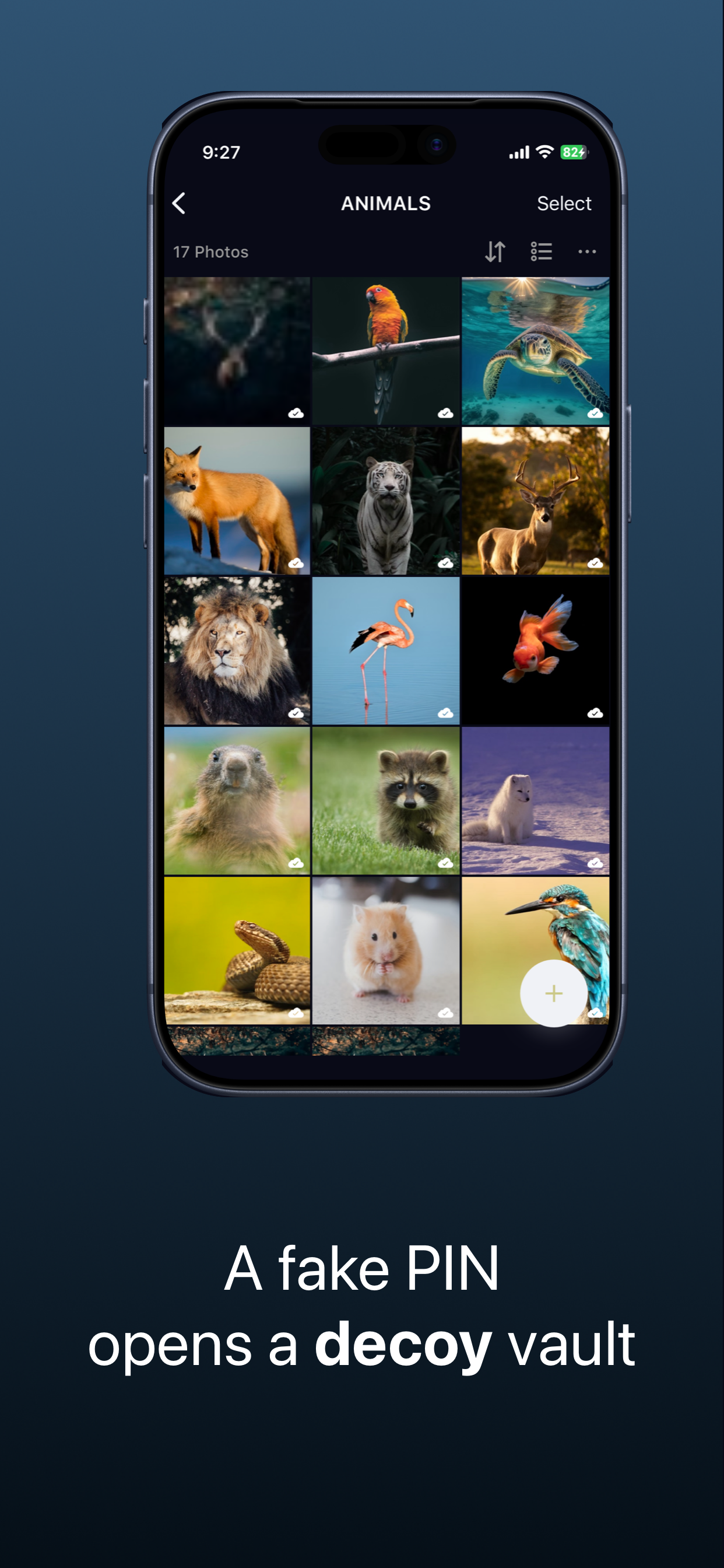 SecretApp: Photo Vault & Hide screenshot 2