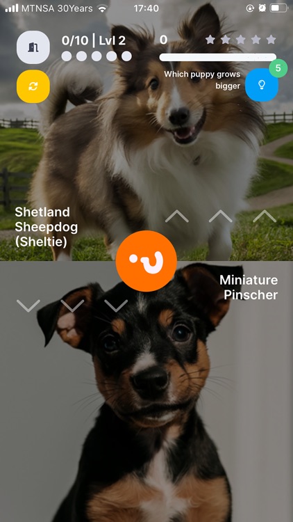 Quick Quiz - Knowledge Games