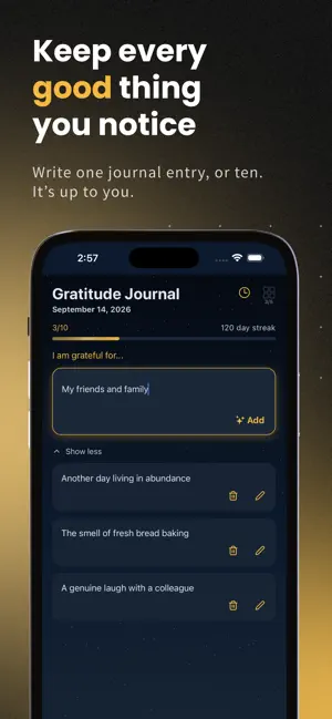Align: Gratitude Journal screenshot 2