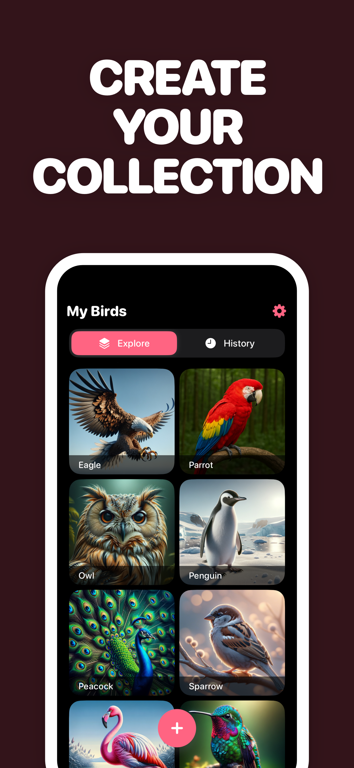 Identify Birds with AI