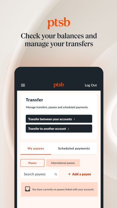permanent tsb Screenshot