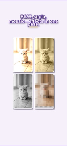 PictBatch Screenshot 7 of 10