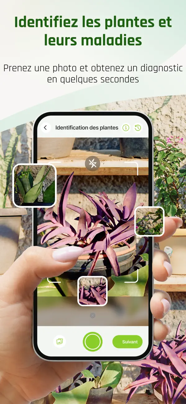 Screenshot #1 pour Plantes Reconnaissance PLANTIS