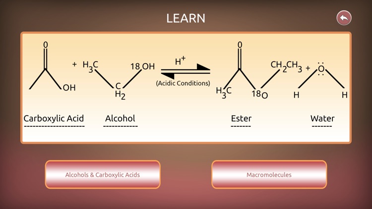 Alcohols & Carboxylic Acids