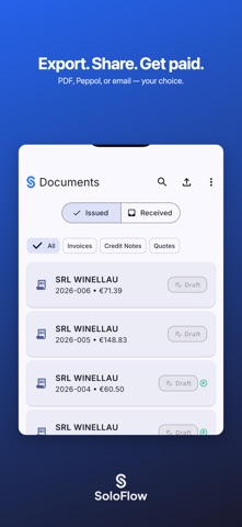SoloFlow: Invoicing & CRM Screenshot 8 of 8