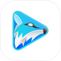 FoxFM - Offline Video Player