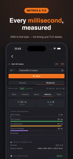 Postmon - Rest API Client iPhone Ekran Görüntüsü 2
