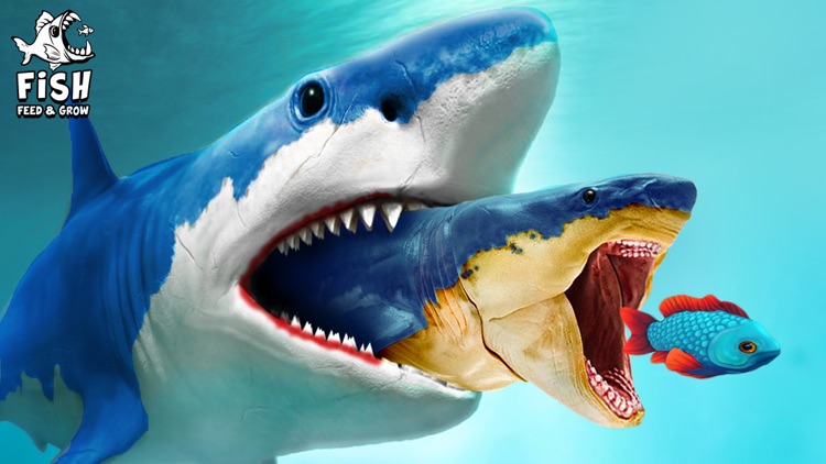 3D Fish Feeding and Grow