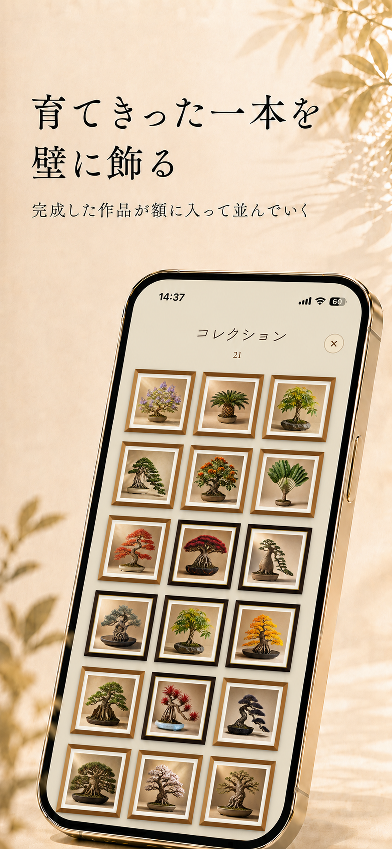 Toko Bonsai - Bonsai You Walk screenshot 5