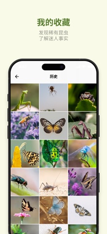 昆虫识别, 识物: 识图, 拍图识物, 昆虫百科 screenshot