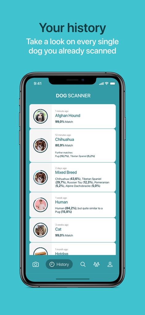 Dog Scanner - Review all past identification results, from specific breeds like Afghan Hound and Chihuahua to mixed breeds, humans, and even other objects, clearly showing match percentages.